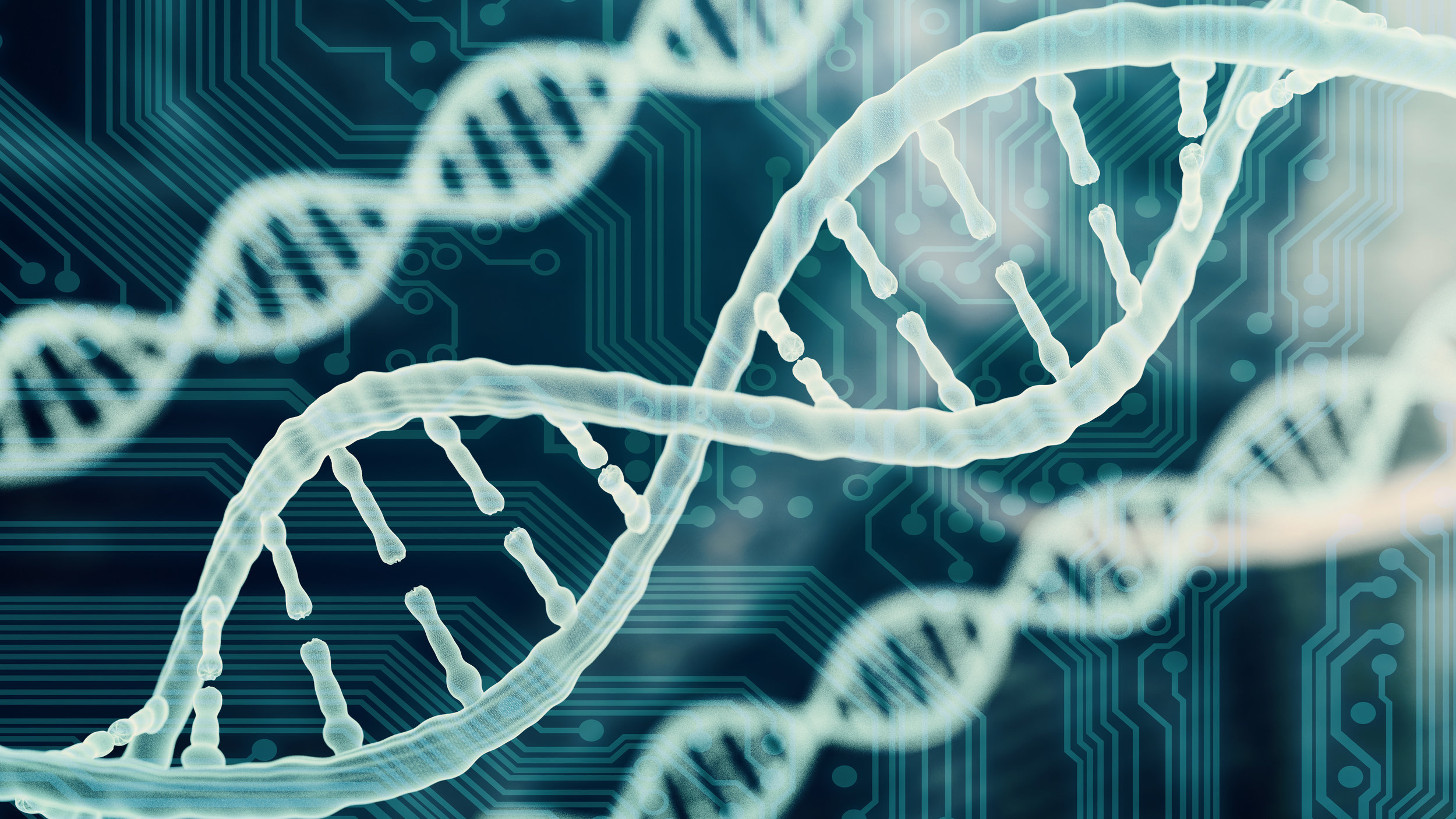 three strands of dna genomic testing PGT
