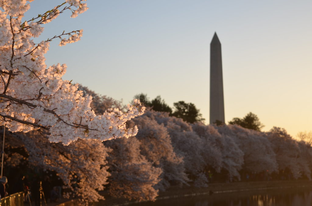 Washington dc hosts events with thought leaders