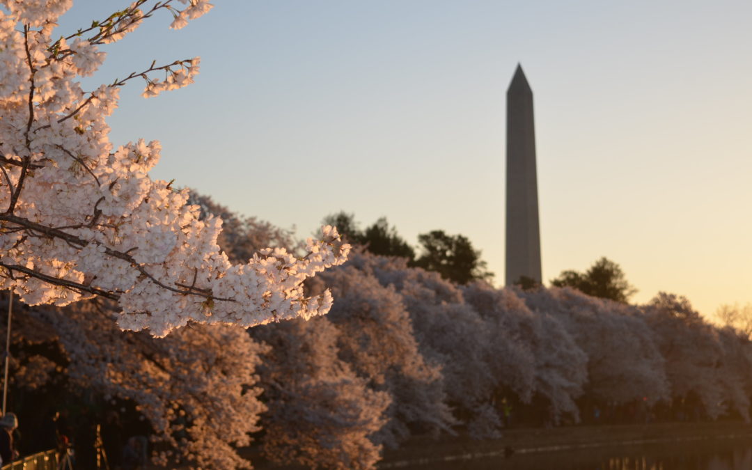 Washington dc hosts events with thought leaders