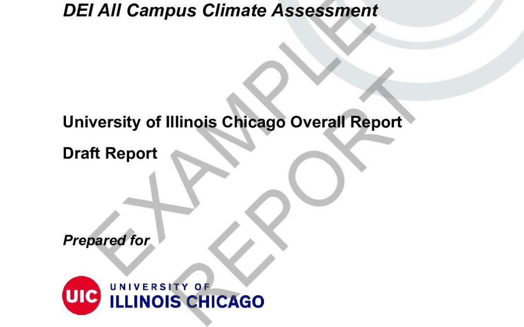 S24011_UIC_Standard_University of Illinois Chicago Overall Report-EXAMPLE